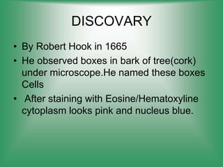 DISCOVARY
• By Robert Hook in 1665
• He observed boxes in bark of tree(cork)
under microscope.He named these boxes
Cells
• After staining with Eosine/Hematoxyline
cytoplasm looks pink and nucleus blue.
 