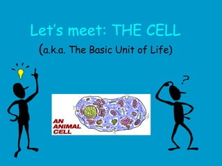 Let’s meet: THE CELL ( a.k.a. The Basic Unit of Life) 