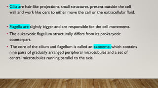 Cell-Organelles-.pdf cell organelles | PDF