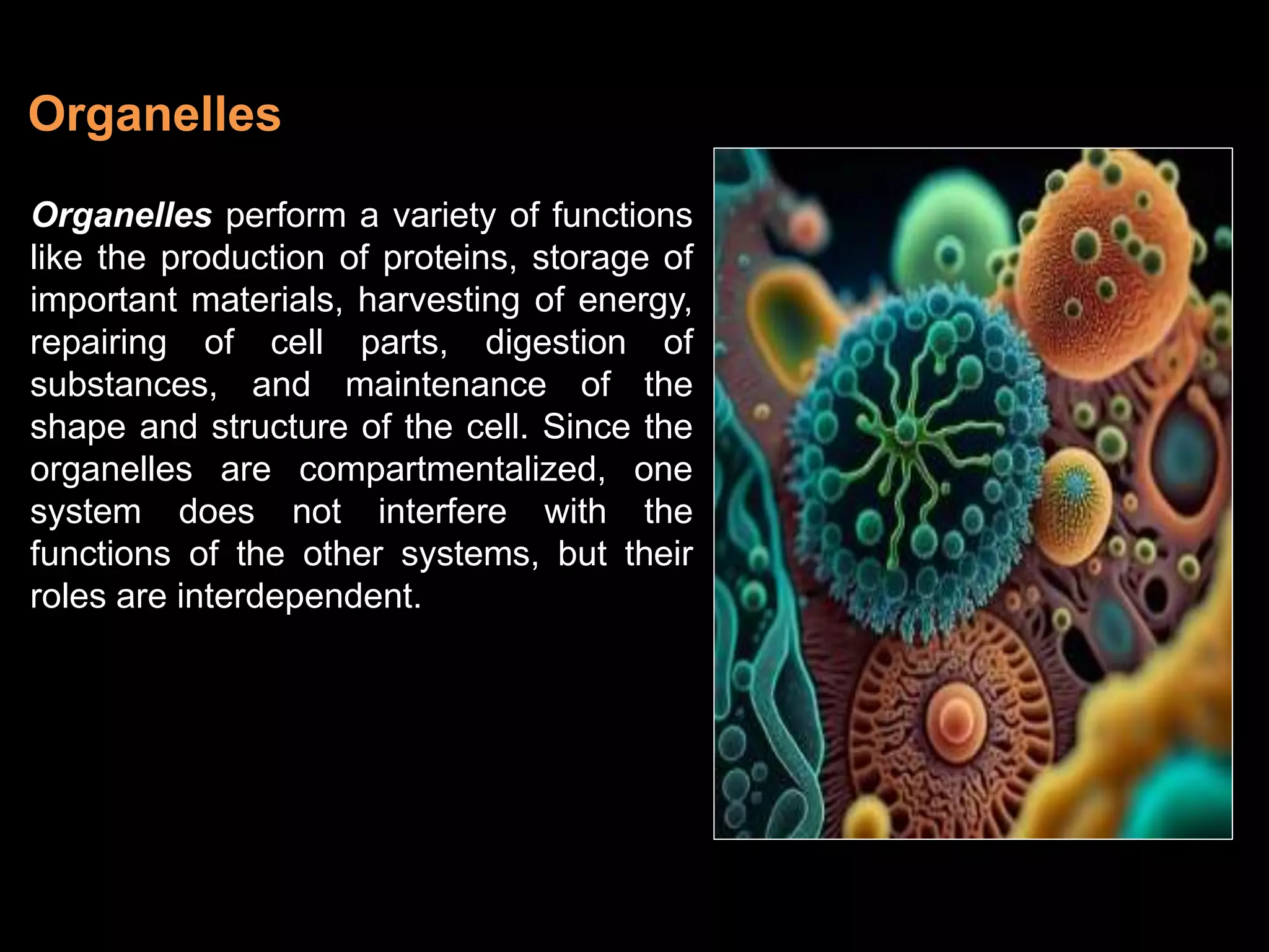 Cell-Organelles.pptx