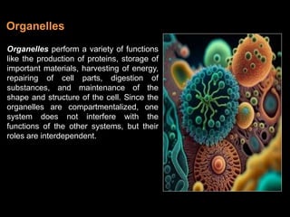Organelles perform a variety of functions
like the production of proteins, storage of
important materials, harvesting of energy,
repairing of cell parts, digestion of
substances, and maintenance of the
shape and structure of the cell. Since the
organelles are compartmentalized, one
system does not interfere with the
functions of the other systems, but their
roles are interdependent.
Organelles
 