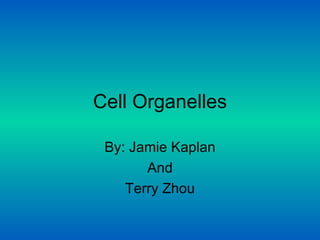 Cell Organelles By: Jamie Kaplan And Terry Zhou 