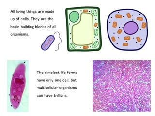 All living things are made
up of cells. They are the
basic building blocks of all
organisms.
The simplest life forms
have only one cell, but
multicellular organisms
can have trillions.
 