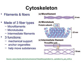 Cell-Parts-and-Functions-Biochem. presentation | PPTX