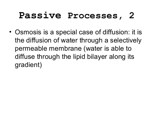 when a solute is able to diffuse through a membrane Explain the role of a selectively permeable membrane in osmosis a solute will diffuse until it spreads and osmosis through a selectively permeable. when a solute is able to diffuse through a membrane Explain the role of a selectively permeable membrane in osmosis a solute will diffuse until it spreads and osmosis through a selectively permeable.