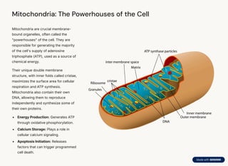 Cell physiology science and biology cell the unit of life | PDF