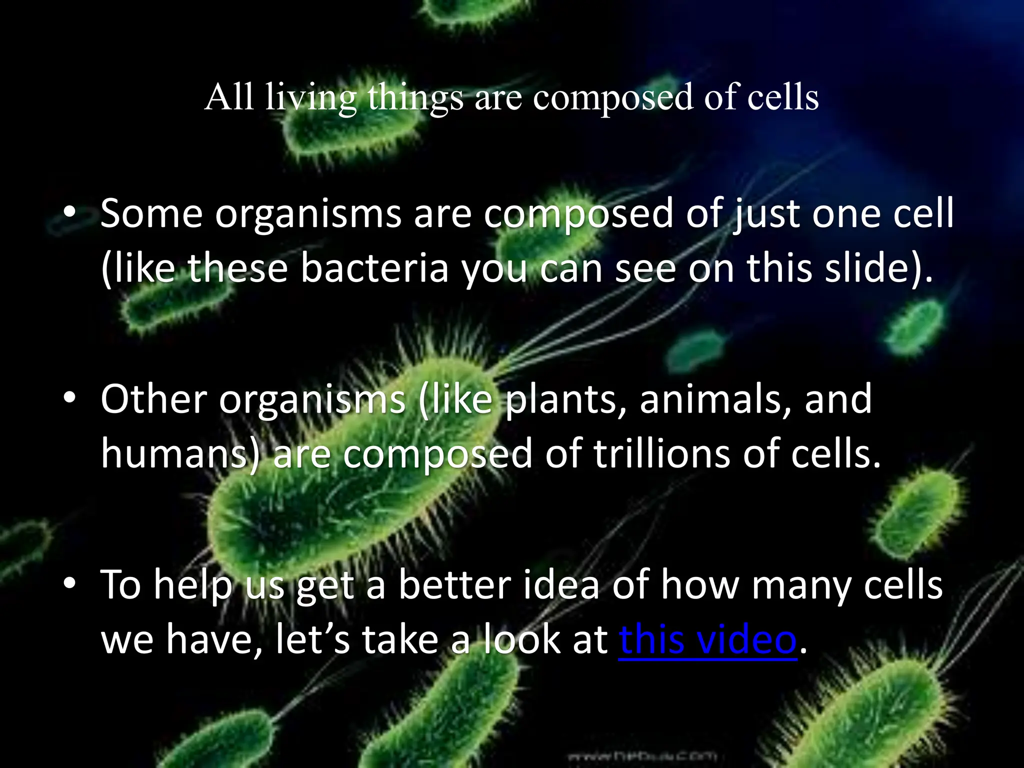 All living things are composed of cells
• Some organisms are composed of just one cell
(like these bacteria you can see on this slide).
• Other organisms (like plants, animals, and
humans) are composed of trillions of cells.
• To help us get a better idea of how many cells
we have, let’s take a look at this video.
 