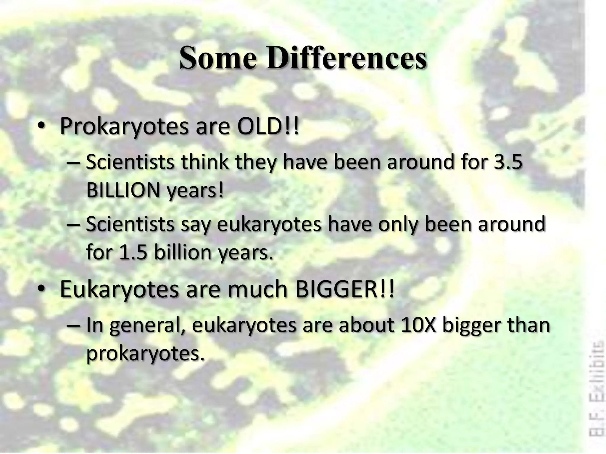 Some Differences
• Prokaryotes are OLD!!
– Scientists think they have been around for 3.5
BILLION years!
– Scientists say eukaryotes have only been around
for 1.5 billion years.
• Eukaryotes are much BIGGER!!
– In general, eukaryotes are about 10X bigger than
prokaryotes.
 