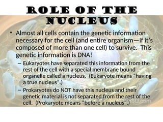 Role of the
Role of the
nucleus
nucleus
• Almost all cells contain the genetic information
Almost all cells contain the genetic information
necessary for the cell (and entire organism—if it’s
necessary for the cell (and entire organism—if it’s
composed of more than one cell) to survive. This
composed of more than one cell) to survive. This
genetic information is DNA!
genetic information is DNA!
– Eukaryotes have separated this information from the
Eukaryotes have separated this information from the
rest of the cell with a special membrane bound
rest of the cell with a special membrane bound
organelle called a nucleus. (Eukaryote means “having
organelle called a nucleus. (Eukaryote means “having
a true nucleus”.)
a true nucleus”.)
– Prokaryotes do NOT have this nucleus and their
Prokaryotes do NOT have this nucleus and their
genetic material is not separated from the rest of the
genetic material is not separated from the rest of the
cell. (Prokaryote means “before a nucleus”.)
cell. (Prokaryote means “before a nucleus”.)
 