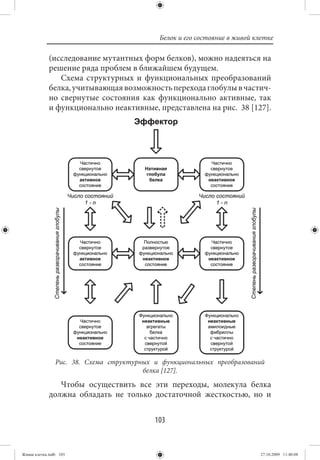 Белок и его состояние в живой клетке

             (исследование мутантных форм белков), можно надеяться на
             решение ряда проблем в ближайшем будущем.
                Схема структурных и функциональных преобразований
             белка, учитывающая возможность перехода глобулы в частич-
             но свернутые состояния как функционально активные, так
             и функционально неактивные, представлена на рис.  38 [127].




                Рис. 38. Схема структурных и функциональных преобразований
                                        белка [127].

                Чтобы осуществить все эти переходы, молекула белка
             должна обладать не только достаточной жесткостью, но и


                                           103


Живая клетка.indb 103                                                       27.10.2009 11:40:08
 
