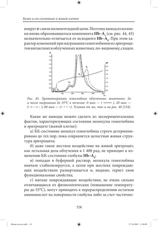 Белок и его состояние в живой клетке

             вокруг σ-связи полипептидной цепи. Поэтому выход из колон-
             ки вновь образовавшегося компонента Нb–Аx (см. рис. 44, 45)
             незначительно отличается от исходного Нb–А0. При этом ха-
             рактер изменений при нагревании гемоглобинов из эритроци-
             тов интактных и облученных животных, по-видимому, сходен.




                Рис. 45. Хроматограммы гемоглобина облученных животных: до
                и после нагревания до 55°С в течение: 0 мин — (         ), 20 мин —
                (        ); 60 мин — (      ). Условия те же, что и на рис. 40 [154].

                 Какие же выводы можно сделать из экспериментальных
             фактов, характеризующих состояния молекулы гемоглобина
             в эритроците (живой клетке):
                 а) КК-состояние молекул гемоглобина строго детермини-
             ровано до тех пор, пока сохраняется целостная живая струк-
             тура эритроцита;
                 б) даже такое жесткое воздействие на живой эритроцит,
             как летальная доза облучения в 1 400 рад, не приводит к из-
             менению КК-состояния глобулы Нb–А0;
                 в) попадая в буферный раствор, молекула гемоглобина
             вначале стабилизируется, а затем при жестких повреждаю-
             щих воздействиях развертывается и, видимо, теряет свои
             функциональные свойства;
                 г) мягкие повреждающие воздействия, не очень сильно
             отличающиеся от физиологических (повышение температу-
             ры до 55°С), могут приводить к перераспределению остатков
             аминокислот на поверхности глобулы либо за счет частично-


                                                114


Живая клетка.indb 114                                                              27.10.2009 11:40:09
 