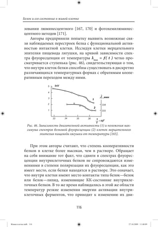 Белок и его состояние в живой клетке

             зовании люминесцентного [167, 170] и фотохемилюминес-
             центного методов [171].
                Авторы предприняли попытку выявить возможные свя-
             зи наблюдаемых перестроек белка с функциональной актив-
             ностью интактной клетки. Исследуя клетки мерцательного
             эпителия пищевода лягушки, на кривой зависимости спек-
             тра флуоресценции от температуры λmax = ƒ( t ) четко про-
             сматривается ступенька (рис. 46), свидетельствующая о том,
             что внутри клеток белки способны существовать в дискретно
             различающихся температурных формах с обратимым коопе-
             ративным переходом между ними.




                Рис. 46. Зависимость двигательной активности (1) и положения мак-
                симума спектров белковой флуоресценции (2) клеток мерцательного
                         эпителия пищевода лягушки от температуры [165].


                При этом авторы считают, что степень кооперативности
             белков в клетке более высокая, чем в растворе. Обращает
             на себя внимание тот факт, что сдвиги в спектрах флуорес-
             ценции внутриклеточных белков не сопровождаются изме-
             нениями в степени поляризации их флуоресценции, как это
             имеет место, если белки находятся в растворе. Это означает,
             что внутри клетки имеют место контакты типа белок—белок
             или белок—липид, изменяющие КК-состояние внутрикле-
             точных белков. В то же время наблюдались в этой же области
             температур резкие изменения энергии активации внутри-
             клеточных ферментов, что приводит к изменению их дви-


                                              116


Живая клетка.indb 116                                                          27.10.2009 11:40:09
 