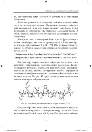 Белок и его состояние в живой клетке

             ка. Этот феномен имел место в 83% случаев из 67 изученных
             ферментов.
                 Далее мы увидим, что поверхность белков изрезана оби-
             лием всевозможных впадин. Включение молекул небелко-
             вых соединений в ту или иную впадину неизбежно будет
             приводить к изменению КК-состояния молекулы белка. В
             этом, видимо, заключается объяснение аллостерии белков-
             ферментов.
                 Что происходит с молекулой белка при ее функциониро-
             вании, можно рассмотреть на примере простейших молекул,
             например, нейрокинина А и В [178]. Оба нейропептида со-
             держат по 10 аминокислотных остатков в линейной последо-
             вательности:
               Нейрокинин А: Гис1-Лиз2-Тир3-Асп4-Сер5-Фен6-Вал7-Гли8-Лей9-Мет10
               Нейрокинин В: Асп1-Мет2-Гис3-Асп4-Фен5-Фен6-Вал7-Гли8-Лей9-Мет10

                Эти два структурно сходных нейропептида относятся к
             семейству тахикининов, выполняющих различные физио-
             логические функции. Используя теоретический конформа-
             ционный анализ, авторы цитируемой работы определили
             стабильные конформационные состояния биологически ак-
             тивных молекул. На рис. 47 представлена атомная расчетная
             модель молекулы нейрокинина А.




                        Рис. 47. Атомная расчетная модель нейрокинина А [178].

                Следует обратить внимание на неограниченные возмож-
             ности изменения углов, т. е. поворотов вокруг σ-связей. Одна-
             ко низкой свободной энергией будут обладать лишь неболь-


                                                 121


Живая клетка.indb 121                                                             27.10.2009 11:40:09
 