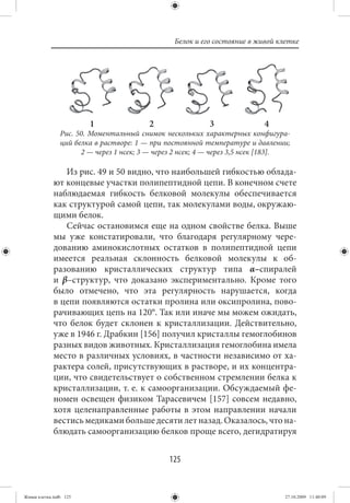 Белок и его состояние в живой клетке




                        1                 2                3               4
                Рис. 50. Моментальный снимок нескольких характерных конфигура-
                ций белка в растворе: 1 — при постоянной температуре и давлении;
                      2 — через 1 нсек; 3 — через 2 нсек; 4 — через 3,5 нсек [183].

                Из рис. 49 и 50 видно, что наибольшей гибкостью облада-
             ют концевые участки полипептидной цепи. В конечном счете
             наблюдаемая гибкость белковой молекулы обеспечивается
             как структурой самой цепи, так молекулами воды, окружаю-
             щими белок.
                Сейчас остановимся еще на одном свойстве белка. Выше
             мы уже констатировали, что благодаря регулярному чере-
             дованию аминокислотных остатков в полипептидной цепи
             имеется реальная склонность белковой молекулы к об-
             разованию кристаллических структур типа α–спиралей
             и β–структур, что доказано экспериментально. Кроме того
             было отмечено, что эта регулярность нарушается, когда
             в цепи появляются остатки пролина или оксипролина, пово-
             рачивающих цепь на 120°. Так или иначе мы можем ожидать,
             что белок будет склонен к кристаллизации. Действительно,
             уже в 1946 г. Драбкин [156] получил кристаллы гемоглобинов
             разных видов животных. Кристаллизация гемоглобина имела
             место в различных условиях, в частности независимо от ха-
             рактера солей, присутствующих в растворе, и их концентра-
             ции, что свидетельствует о собственном стремлении белка к
             кристаллизации, т. е. к самоорганизации. Обсуждаемый фе-
             номен освещен физиком Тарасевичем [157] совсем недавно,
             хотя целенаправленные работы в этом направлении начали
             вестись медиками больше десяти лет назад. Оказалось, что на-
             блюдать самоорганизацию белков проще всего, дегидратируя


                                               125


Живая клетка.indb 125                                                            27.10.2009 11:40:09
 