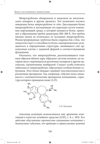 Белок и его состояние в живой клетке

                Микротрубочки обнаружили и выделили из митотиче-
             ского аппарата и других органелл. Это позволило изучить
             поведение белка микротрубочек in vitro. Диссоциация белка
             микротрубочек и последующая его агрегация путем измене-
             ния окружающей среды, в которой находится белок, приво-
             дит к образованию трубок диаметром 200–300 Å. Эти трубки
             внешне ничем не отличались от исходных микротрубочек.
             Реконструированные трубочки были спарены бок о бок, что
             свидетельствует о способности белка самопроизвольно укла-
             дываться в определенные структуры, являющиеся уже ор-
             ганеллами клетки с заданной формой и соответствующими
             функциями.
                Оказалось, что микротрубочки, располагающиеся глав-
             ным образом вблизи ядра, образуют систему волокон, по ко-
             торым могут перемещаться различные пузырьки и другие ор-
             ганеллы, ограниченные мембраной. Следует особо отметить
             лабильность микротрубочек, образуемых особым белком ту-
             булином. Этот белок обладает крайней чувствительностью к
             различным препаратам. Так, например, тубулин легко связы-
             вается с антимитотическим препаратом колхицином, струк-
             тура которого приведена ниже (2.23).




                                                    2.23. Колхицин


                Алкалоид колхицин использовался еще древними егип-
             тянами в качестве лечебного средства ([245], т. 3, с. 303). Его
             действие обусловлено прочностью связывания колхицина с
             молекулами тубулина, что приводит к приостановке деления


                                             134


Живая клетка.indb 134                                                    27.10.2009 11:40:09
 