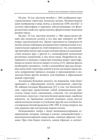 Белок и его состояние в живой клетке

                На рис. 54 (см. цветную вклейку с. 186) изображена про-
             странственная структура молекулы актина. Полипептидные
             цепи изображены в виде ленты, а молекулы АТФ, ион Са++ и
             остатки триптофана и тирозина, обеспечивающие его флуо-
             ресцентные свойства, представлены сферическими моделями
             разного цвета.
                На рис. 55 (см. цветную вклейку с. 186) представлен об-
             щий вид молекулы актина и его вид при повороте на 180°
             вокруг вертикальной оси. Кроме изрезанности поверхности
             актина можно наблюдать распределение отрицательных и по-
             ложительных зарядов по этой поверхности, что, несомненно,
             чрезвычайно важно при осуществлении процесса взаимодей-
             ствия молекул друг с другом и с мономерными молекулами
             различных соединений, в том числе воды. Подробности экс-
             перимента и выводы о характере упаковки вокруг триптофа-
             новых остатков читатель найдет в статье [213]. Данные факты
             необходимо запомнить, чтобы в дальнейшем при рассмотре-
             нии целостной структуры живой клетки нагляднее представ-
             лять направление процесса укладки и присоединения к мо-
             лекулам белка других молекул, участвующих в образовании
             живой структуры.
                Ассоциация белковых молекул, по-видимому, тоже будет
             приводить к образованию плотно упакованных структур.
             Не забывая взглядов Шредингера [27] о том, что биологиче-
             ские структуры представляют собой апериодические кри-
             сталлы (чаще всего смешанные), отметим, что построение
             клеточных структур с участием белков происходит, наиболее
             вероятно, по принципам плотной упаковки, когда выступ
             одной молекулы входит в углубление другой, как это было по-
             стулировано Китайгородским [198, 199]. К этому вопросу мы
             еще вернемся при построении модели клетки.
                Познакомимся теперь с более низкомолекулярными со-
             единениями, которые, попадая в клетку, взаимодействуют с
             высокомолекулярными веществами, главным образом с бел-
             ками. При этом будем отмечать, каким образом, в соответ-


                                         137


Живая клетка.indb 137                                                     27.10.2009 11:40:09
 