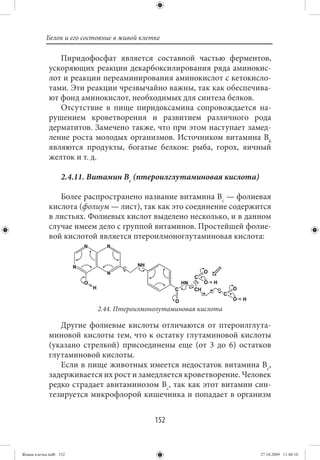 Белок и его состояние в живой клетке

                Пиридофосфат является составной частью ферментов,
             ускоряющих реакции декарбоксилирования ряда аминокис-
             лот и реакции переаминирования аминокислот с кетокисло-
             тами. Эти реакции чрезвычайно важны, так как обеспечива-
             ют фонд аминокислот, необходимых для синтеза белков.
                Отсутствие в пище пиридоксамина сопровождается на-
             рушением кроветворения и развитием различного рода
             дерматитов. Замечено также, что при этом наступает замед-
             ление роста молодых организмов. Источником витамина В6
             являются продукты, богатые белком: рыба, горох, яичный
             желток и т. д.

                   2.4.11. Витамин Вс (птероилглутаминовая кислота)

                Более распространено название витамина Вс — фолиевая
             кислота (фолиум — лист), так как это соединение содержится
             в листьях. Фолиевых кислот выделено несколько, и в данном
             случае имеем дело с группой витаминов. Простейшей фолие-
             вой кислотой является птероилмоноглутаминовая кислота:




                           2.44. Птероилмонолутаминовая кислота

                Другие фолиевые кислоты отличаются от птероилглута-
             миновой кислоты тем, что к остатку глутаминовой кислоты
             (указано стрелкой) присоединены еще (от 3 до 6) остатков
             глутаминовой кислоты.
                Если в пище животных имеется недостаток витамина Вс,
             задерживается их рост и замедляется кроветворение. Человек
             редко страдает авитаминозом Вс, так как этот витамин син-
             тезируется микрофлорой кишечника и попадает в организм


                                             152


Живая клетка.indb 152                                                 27.10.2009 11:40:10
 
