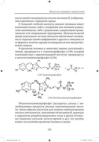 Белок и его состояние в живой клетке

             ности связей и возможности участия витамина В1 в образова-
             нии комплексов с переносом заряда.
                С белковой глобулой молекула данного витамина может
             взаимодействовать либо с полярными или ионными радика-
             лами аминокислот, либо с радикалами, содержащими арома-
             тические или сопряженные группировки. Наличие σ-связей
             между отдельными частями молекулы обеспечивает возмож-
             ность перехода одной конформации в другую в зависимости
             от формы и наличия зарядов на поверхности или внутри бел-
             ковой глобулы.
                В организме человека и животных тиамин, полученный с
             пищей, превращается в тиаминпирофосфат (2.49), который
             взаимодействуя с пировиноградной кислотой, превращается
             в оксиэтилтиаминпирофосфат (2.50):




                                2.49. Тиаминпирофосфат




                                         2.50. Оксиэтилтиаминпирофосфат

                Оксиэтилтиаминпирофосфат распадается дальше с вы-
             свобождением продуктов распада пировиноградной кисло-
             ты. Таким образом токсичная для человека пировиноградная
             кислота уничтожается. Авитаминоз по витамину В1 приводит
             к нарушению декарбоксирирования также и других кетокис-
             лот (щавелево-уксусной, кетоглутаровой и др.), что пагубно
             влияет на состояние организма человека в целом.


                                         157


Живая клетка.indb 157                                                     27.10.2009 11:40:10
 