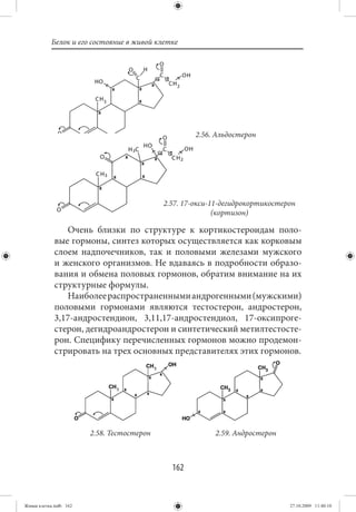 Белок и его состояние в живой клетке




                                                     2.56. Альдостерон




                                            2.57. 17-окси-11-дегидрокортикостерон
                                                           (кортизон)

                Очень близки по структуре к кортикостероидам поло-
             вые гормоны, синтез которых осуществляется как корковым
             слоем надпочечников, так и половыми железами мужского
             и женского организмов. Не вдаваясь в подробности образо-
             вания и обмена половых гормонов, обратим внимание на их
             структурные формулы.
                Наиболее распространенными андрогенными (мужскими)
             половыми гормонами являются тестостерон, андростерон,
             3,17-андростендион, 3,11,17-андростендиол, 17-оксипроге-
             стерон, дегидроандростерон и синтетический метилтестосте-
             рон. Специфику перечисленных гормонов можно продемон-
             стрировать на трех основных представителях этих гормонов.




                        2.58. Тестостерон                 2.59. Андростерон



                                              162


Живая клетка.indb 162                                                          27.10.2009 11:40:10
 