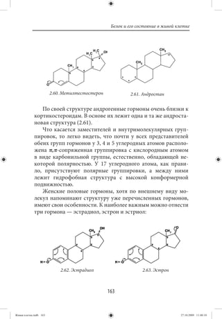 Белок и его состояние в живой клетке




                        2.60. Метилтестостерон            2.61. Андростан


                По своей структуре андрогенные гормоны очень близки к
             кортикостероидам. В основе их лежит одна и та же андроста-
             новая структура (2.61).
                Что касается заместителей и внутримолекулярных груп-
             пировок, то легко видеть, что почти у всех представителей
             обеих групп гормонов у 3, 4 и 5 углеродных атомов располо-
             жена π,π-сопряженная группировка с кислородным атомом
             в виде карбонильной группы, естественно, обладающей не-
             которой полярностью. У 17 углеродного атома, как прави-
             ло, присутствуют полярные группировки, а между ними
             лежит гидрофобная структура с высокой конформерной
             подвижностью.
                Женские половые гормоны, хотя по внешнему виду мо-
             лекул напоминают структуру уже перечисленных гормонов,
             имеют свои особенности. К наиболее важным можно отнести
             три гормона — эстрадиол, эстрон и эстриол:




                            2.62. Эстрадиол                     2.63. Эстрон



                                                 163


Живая клетка.indb 163                                                             27.10.2009 11:40:10
 