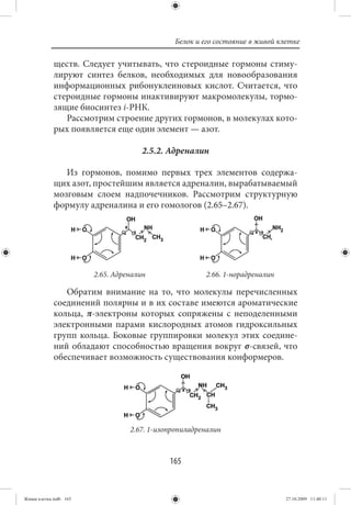 Белок и его состояние в живой клетке

             ществ. Следует учитывать, что стероидные гормоны стиму-
             лируют синтез белков, необходимых для новообразования
             информационных рибонуклеиновых кислот. Считается, что
             стероидные гормоны инактивируют макромолекулы, тормо-
             зящие биосинтез i-РНК.
                Рассмотрим строение других гормонов, в молекулах кото-
             рых появляется еще один элемент — азот.

                                      2.5.2. Адреналин

                Из гормонов, помимо первых трех элементов содержа-
             щих азот, простейшим является адреналин, вырабатываемый
             мозговым слоем надпочечников. Рассмотрим структурную
             формулу адреналина и его гомологов (2.65–2.67).




                        2.65. Адреналин                2.66. 1-норадреналин

                Обратим внимание на то, что молекулы перечисленных
             соединений полярны и в их составе имеются ароматические
             кольца, π-электроны которых сопряжены с неподеленными
             электронными парами кислородных атомов гидроксильных
             групп кольца. Боковые группировки молекул этих соедине-
             ний обладают способностью вращения вокруг σ-связей, что
             обеспечивает возможность существования конформеров.




                                  2.67. 1-изопропиладреналин



                                             165


Живая клетка.indb 165                                                         27.10.2009 11:40:11
 