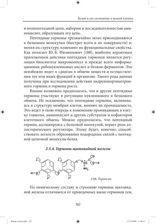 Белок и его состояние в живой клетке

             в полипептидной цепи, набором и последовательностью ами-
             нокислот, образующих эту цепь.
                Пептидные гормоны чрезвычайно легко присоединяются
             к белковым молекулам (быстрее всего к их поверхности) и,
             меняя их структуру, изменяют их функциональные свойства.
             Как полагает Ю. Б. Филиппович [100], наиболее вероятным
             приложением действия пептидных гормонов является регу-
             ляция биосинтеза макромолекул и прежде всего информа-
             ционных рибонуклеиновых кислот и белков-ферментов. Это
             неизбежно ведет к сдвигам в обмене веществ и осуществле-
             нии тех или иных функций в организме. Такого рода данные
             получены при исследовании действия андренокортикотрон-
             ного гормона и гормона роста.
                Вполне возможно предполагать, что и другие пептидные
             гормоны участвуют в регуляции нуклеинового и белкового
             обмена. Не исключено, что пептидные гормоны, вклинива-
             ясь в структуру мембран клеток, меняют их проницаемость.
             Это ведет в свою очередь к изменению проникающих в клет-
             ку глюкозы, аминокислот и других субстратов и кофакторов
             клеточного обмена. Можно предполагать, что пептидный
             гормон, ассоциируясь с белковой молекулой, играет роль ал-
             лостерического регулятора. Этому будет, конечно, способ-
             ствовать легкость образования водородных связей с пептид-
             ной цепочкой молекулы белка.

                        2.5.4. Гормоны щитовидной железы




                                                 2.68. Тироксин

                По химическому составу и строению гормоны щитовид-
             ной железы отличаются от приведенных выше гормонов тем,


                                        167


Живая клетка.indb 167                                                    27.10.2009 11:40:11
 