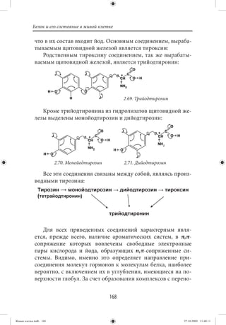 Белок и его состояние в живой клетке

             что в их состав входит йод. Основным соединением, выраба-
             тываемым щитовидной железой является тироксин:
                Родственным тироксину соединением, так же вырабаты-
             ваемым щитовидной железой, является трийодтиронин:




                                                     2.69. Трийодтиронин

                Кроме трийодтиронина из гидролизатов щитовидной же-
             лезы выделены монойодтирозин и дийодтирозин:




                        2.70. Монойодтирозин         2.71. Дийодтирозин

                Все эти соединения связаны между собой, являясь произ-
             водными тирозина:




                Для всех приведенных соединений характерным явля-
             ется, прежде всего, наличие ароматических систем, в π,π-
             сопряжение которых вовлечены свободные электронные
             пары кислорода и йода, образующих n,π-сопряженные си-
             стемы. Видимо, именно это определяет направление при-
             соединения молекул гормонов к молекулам белка, наиболее
             вероятно, с включением их в углубления, имеющиеся на по-
             верхности глобул. За счет образования комплексов с перено-


                                               168


Живая клетка.indb 168                                                      27.10.2009 11:40:11
 
