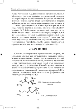 Белок и его состояние в живой клетке

             ран на растениях и т. д. Для животных организмов, главным
             образом для человека, важность этих соединений очевидна:
             вся парфюмерная промышленность базируется на монотер-
             пеновых эфирных маслах; среди сесквитерпеновых соедине-
             ний встречаются многочисленные лекарственные препараты.
                Химия терпеноидов — это особая отрасль науки. Ее осно-
             вы достаточно подробно изложены в монографии Г. В. Пигу-
             левского [285]. Обращаясь к структуре обсуждаемых соеди-
             нений, можно видеть, что здесь также присутствуют π,π- и
             n,π- сопряженные системы, имеется возможность конформа-
             ционных переходов, широко представлена Et -изомерия. При
             этом подавляющее большинство соединений обладает вы-
             сокой степенью гидрофобности. Ни один из представителей
             терпенов животными организмами не синтезируется.

                                   2.6. Макроэрги
                Согласно общепринятым представлениям, энергия, не-
             обходимая клеткам для осуществления процессов синтеза
             нужных им соединений, течения эндотермических реакций,
             выполнения работы живой системой, запасается и извлекает-
             ся при гидролизе макроэргических связей в так называемых
             макроэргических соединениях. Попробуем понять механизм
             использования энергии макроэргических связей в клетке, по-
             знакомившись со структурой упомянутых соединений. Про-
             стейшим соединением этого типа является фосфоенолпиро-
             виноградная кислота (ФЕПК):


                                              2.78. Фосфоенолпировиноградная
                                                          кислота




                                                   2.79. Креатинфосфат

                                             174


Живая клетка.indb 174                                                          27.10.2009 11:40:11
 
