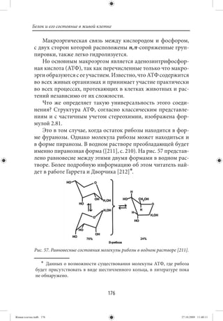 Белок и его состояние в живой клетке

                Макроэргическая связь между кислородом и фосфором,
             с двух сторон которой расположены n,π-сопряженные груп-
             пировки, также легко гидролизуется.
                Но основным макроэргом является аденозинтрифосфор-
             ная кислота (АТФ), так как перечисленные только что макро-
             эрги образуются с ее участием. Известно, что АТФ содержится
             во всех живых организмах и принимает участие практически
             во всех процессах, протекающих в клетках животных и рас-
             тений независимо от их сложности.
                Что же определяет такую универсальность этого соеди-
             нения? Структура АТФ, согласно классическим представле-
             ниям и с частичным учетом стереохимии, изображена фор-
             мулой 2.81.
                Это в том случае, когда остаток рибозы находится в фор-
             ме фуранозы. Однако молекула рибозы может находиться и
             в форме пиранозы. В водном растворе преобладающей будет
             именно пиранозная форма ([211], с. 210). На рис. 57 представ-
             лено равновесие между этими двумя формами в водном рас-
             творе. Более подробную информацию об этом читатель най-
             дет в работе Гаррета и Дворчика [212]∗.




             Рис. 57. Равновесные состояния молекулы рибозы в водном растворе [211].

                 ∗ Данных о возможности существования молекулы АТФ, где рибоза
              будет присутствовать в виде шестичленного кольца, в литературе пока
              не обнаружено.


                                              176


Живая клетка.indb 176                                                           27.10.2009 11:40:11
 