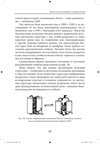 Белок и его состояние в живой клетке

             клетке присутствуют «помощники» белка — тоже полипепти-
             ды — шапероны [249].
                Эта гипотеза была высказана еще в 1988 г. [248] и за по-
             следующие 10 лет была многократно подтверждена, что и
             позволило уже в 1997 г. Бычковой [247] написать: «Было бы
             бессмысленно позволить белкам принять правильную жест-
             кую третичную структуру с тем, чтобы разрушить ее через
             короткое время при их созревании или олигомеризации.
             С другой стороны, имеются данные, что транслокация бел-
             ков через (или их внедрение в) мембрану также требует со-
             стояния расплавленной глобулы. Поэтому было бы вполне
             логично поддерживать это состояние, пока клетка нуждается
             в нем, вместо того, чтобы позволить белку «прыгать» в натив-
             ное состояние и обратно».
                Схематически модель нативного состояния и состояния
             расплавленной глобулы представлена на рис. 59.
                Легко видеть, что два уровня организации белковой
             структуры — вторичная и третичная, по разному воплощены
             в этих состояниях. Если вторичная структура изображенная
             на рисунке в виде цилиндров (на самом деле имеется в виду
             α-спиральные участки) в основном сохраняется, то третич-
             ная структура значительно сильнее разрушена: имеет место
             даже разворачивание полипептидной цепи с выходом боко-
             вых радикалов на поверхность глобулы.




                  Рис. 59. Схема, отражающая состояние белка в нативном состоя-
                             нии и состоянии расплавленной глобулы [247].



                                              207


Живая клетка.indb 207                                                           27.10.2009 11:40:13
 