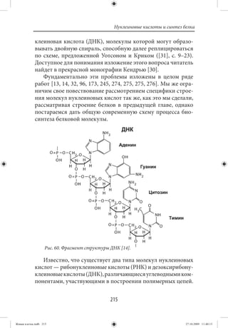 Нуклеиновые кислоты и синтез белка

             клеиновая кислота (ДНК), молекулы которой могут образо-
             вывать двойную спираль, способную далее реплицироваться
             по схеме, предложенной Уотсоном и Криком ([31], с. 9–23).
             Доступное для понимания изложение этого вопроса читатель
             найдет в прекрасной монографии Кендрью [30].
                Фундаментально эти проблемы изложены в целом ряде
             работ [13, 14, 32, 96, 173, 245, 274, 275, 275, 276]. Мы же огра-
             ничим свое повествование рассмотрением специфики строе-
             ния молекул нуклеиновых кислот так же, как это мы сделали,
             рассматривая строение белков в предыдущей главе, однако
             постараемся дать общую современную схему процесса био-
             синтеза белковой молекулы.




                   Рис. 60. Фрагмент структуры ДНК [14].

                Известно, что существует два типа молекул нуклеиновых
             кислот — рибонуклеиновые кислоты (РНК) и дезоксирибону-
             клеиновые кислоты (ДНК), различающиеся углеводными ком-
             понентами, участвующими в построении полимерных цепей.


                                               215


Живая клетка.indb 215                                                         27.10.2009 11:40:13
 