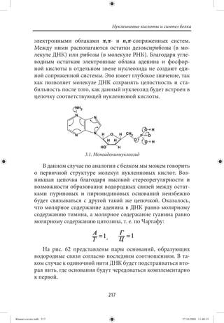 Нуклеиновые кислоты и синтез белка

             электронными облаками π,π- и n,π-сопряженных систем.
             Между ними располагаются остатки дезоксирибозы (в мо-
             лекуле ДНК) или рибозы (в молекуле РНК). Благодаря угле-
             водным остаткам электронные облака аденина и фосфор-
             ной кислоты в отдельном звене нуклеозида не создают еди-
             ной сопряженной системы. Это имеет глубокое значение, так
             как позволяет молекуле ДНК сохранять целостность и ста-
             бильность после того, как данный нуклеозид будет встроен в
             цепочку соответствующей нуклеиновой кислоты.




                               3.1. Моноадениннуклеозид

                В данном случае по аналогии с белком мы можем говорить
             о первичной структуре молекул нуклеиновых кислот. Воз-
             никшая цепочка благодаря высокой стереорегулярности и
             возможности образования водородных связей между остат-
             ками пуриновых и пиримидиновых оснований неизбежно
             будет связываться с другой такой же цепочкой. Оказалось,
             что молярное содержание аденина в ДНК равно молярному
             содержанию тимина, а молярное содержание гуанина равно
             молярному содержанию цитозина, т. е. по Чаргафу:



                На рис. 62 представлены пары оснований, образующих
             водородные связи согласно последним соотношениям. В та-
             ком случае к одиночной нити ДНК будет подстраиваться вто-
             рая нить, где основания будут чередоваться комплементарно
             к первой.


                                         217


Живая клетка.indb 217                                                   27.10.2009 11:40:13
 