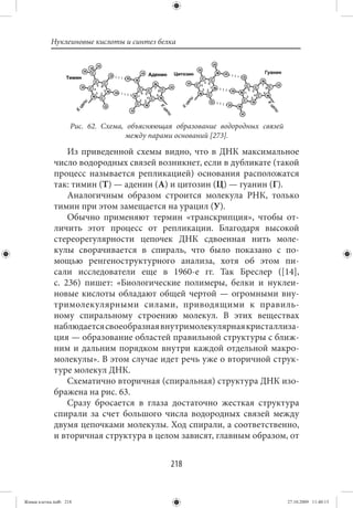 Нуклеиновые кислоты и синтез белка




                    Рис. 62. Схема, объясняющая образование водородных связей
                                    между парами оснований [273].

                 Из приведенной схемы видно, что в ДНК максимальное
             число водородных связей возникнет, если в дубликате (такой
             процесс называется репликацией) основания расположатся
             так: тимин (Т) — аденин (А) и цитозин (Ц) — гуанин (Г).
                 Аналогичным образом строится молекула РНК, только
             тимин при этом замещается на урацил (У).
                 Обычно применяют термин «транскрипция», чтобы от-
             личить этот процесс от репликации. Благодаря высокой
             стереорегулярности цепочек ДНК сдвоенная нить моле-
             кулы сворачивается в спираль, что было показано с по-
             мощью ренгеноструктурного анализа, хотя об этом пи-
             сали исследователи еще в 1960-е гг. Так Бреслер ([14],
             с. 236) пишет: «Биологические полимеры, белки и нуклеи-
             новые кислоты обладают общей чертой — огромными вну-
             тримолекулярными силами, приводящими к правиль-
             ному спиральному строению молекул. В этих веществах
             наблюдается своеобразная внутримолекулярная кристаллиза-
             ция — образование областей правильной структуры с ближ-
             ним и дальним порядком внутри каждой отдельной макро-
             молекулы». В этом случае идет речь уже о вторичной струк-
             туре молекул ДНК.
                 Схематично вторичная (спиральная) структура ДНК изо-
             бражена на рис. 63.
                 Сразу бросается в глаза достаточно жесткая структура
             спирали за счет большого числа водородных связей между
             двумя цепочками молекулы. Ход спирали, а соответственно,
             и вторичная структура в целом зависят, главным образом, от


                                              218


Живая клетка.indb 218                                                           27.10.2009 11:40:13
 