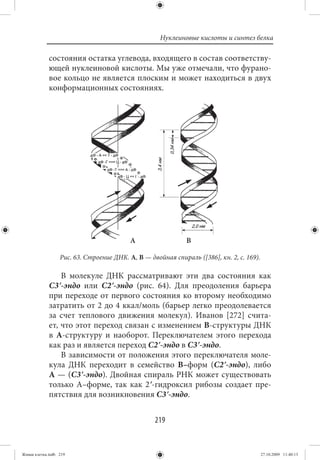 Нуклеиновые кислоты и синтез белка

             состояния остатка углевода, входящего в состав соответству-
             ющей нуклеиновой кислоты. Мы уже отмечали, что фурано-
             вое кольцо не является плоским и может находиться в двух
             конформационных состояниях.




                                          А                  B

                  Рис. 63. Строение ДНК. A, B — двойная спираль ([386], кн. 2, с. 169).

                 В молекуле ДНК рассматривают эти два состояния как
             С3ʹ-эндо или С2ʹ-эндо (рис. 64). Для преодоления барьера
             при переходе от первого состояния ко второму необходимо
             затратить от 2 до 4 ккал/моль (барьер легко преодолевается
             за счет теплового движения молекул). Иванов [272] счита-
             ет, что этот переход связан с изменением В-структуры ДНК
             в А-структуру и наоборот. Переключателем этого перехода
             как раз и является переход С2ʹ-эндо в С3ʹ-эндо.
                 В зависимости от положения этого переключателя моле-
             кула ДНК переходит в семейство В–форм (С2ʹ-эндо), либо
             А — (С3ʹ-эндо). Двойная спираль РНК может существовать
             только А–форме, так как 2ʹ-гидроксил рибозы создает пре-
             пятствия для возникновения С3ʹ-эндо.


                                                  219


Живая клетка.indb 219                                                                     27.10.2009 11:40:13
 