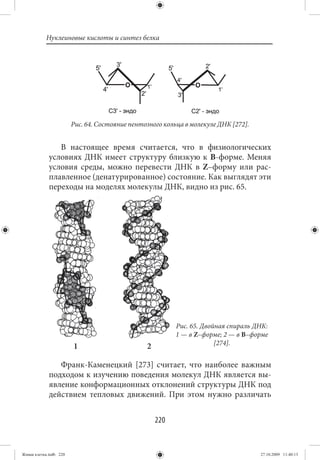 Нуклеиновые кислоты и синтез белка




                        Рис. 64. Состояние пентозного кольца в молекуле ДНК [272].


                В настоящее время считается, что в физиологических
             условиях ДНК имеет структуру близкую к В-форме. Меняя
             условия среды, можно перевести ДНК в Z–форму или рас-
             плавленное (денатурированное) состояние. Как выглядят эти
             переходы на моделях молекулы ДНК, видно из рис. 65.




                                                          Рис. 65. Двойная спираль ДНК:
                                                          1 — в Z–форме; 2 — в В–форме
                                                                       [274].
                        1                       2

                Франк-Каменецкий [273] считает, что наиболее важным
             подходом к изучению поведения молекул ДНК является вы-
             явление конформационных отклонений структуры ДНК под
             действием тепловых движений. При этом нужно различать


                                                    220


Живая клетка.indb 220                                                                27.10.2009 11:40:13
 