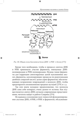 Нуклеиновые кислоты и синтез белка




                Рис. 66. Общая схема биосинтеза белка (ДНК → РНК → белок) [275].

                Кроме того необходимо, чтобы в процессе синтеза ДНК
             и РНК принимали участие ферменты, именуемые ДНК-
             полимеразами и РНК-полимеразами. Нужны также фермен-
             ты для коррекции синтезируемых цепей нуклеиновых кис-
             лот, ферменты, катализирующие процессы по редупликации
             двойных спиралей кислот, целая серия ферментов, обеспечи-
             вающих исправление повреждений в молекуле ДНК, чтобы
             предотвратить возникновение вредных мутаций [279] и т. д.
                Так или иначе исходное предположение, что молекула
             ДНК сама себя копирует, очень далеко от истины. Как осу-
             ществляется синтез ДНК согласно современным представле-
             ниям, читатель найдет в работе Спирина [274].
                Не вдаваясь в изложение всех тонкостей функционирова-
             ния системы ДНК, i-РНК, t-РНК и ферментов, обслуживаю-


                                              223


Живая клетка.indb 223                                                         27.10.2009 11:40:13
 