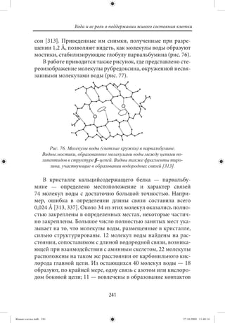 Вода и ее роль в поддержании живого состояния клетки

             сон  [313]. Приведенные им снимки, полученные при разре-
             шении 1,2 Å, позволяют видеть, как молекулы воды образуют
             мостики, стабилизирующие глобулу парвальбумина (рис. 76).
                В работе приводится также рисунок, где представлено сте-
             реоизображение молекулы рубредоксина, окруженной несвя-
             занными молекулами воды (рис. 77).




                     Рис. 76. Молекулы воды (светлые кружки) в парвальбумине.
                  Видны мостики, образованные молекулами воды между цепями по-
                  липептидов в структуре β–цепей. Видны также фрагменты тиро-
                     зина, участвующие в образовании водородных связей [313].

                В кристалле кальцийсодержащего белка — парвальбу-
             мине — определено местоположение и характер связей
             74 молекул воды с достаточно большой точностью. Напри-
             мер, ошибка в определении длины связи составила всего
             0,024 Å [313, 337]. Около 34 из этих молекул оказались полно-
             стью закреплены в определенных местах, некоторые частич-
             но закреплены. Большое число полностью занятых мест ука-
             зывает на то, что молекулы воды, размещенные в кристалле,
             сильно структурированы. 12 молекул воды найдены на рас-
             стоянии, сопоставимом с длиной водородной связи, возника-
             ющей при взаимодействии с аминным скелетом, 22 молекулы
             расположены на таком же расстоянии от карбонильного кис-
             лорода главной цепи. Из остающихся 40 молекул воды — 18
             образуют, по крайней мере, одну связь с азотом или кислоро-
             дом боковой цепи; 11 — вовлечены в образование контактов


                                              241


Живая клетка.indb 241                                                            27.10.2009 11:40:14
 