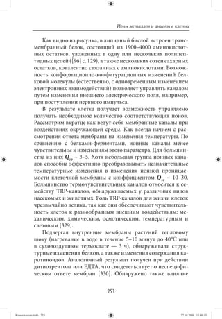 Ионы металлов и анионы в клетке

                Как видно из рисунка, в липидный бислой встроен транс-
             мембранный белок, состоящий из 1900–4000 аминокислот-
             ных остатков, уложенных в одну или нескольких полипеп-
             тидных цепей ([96] с. 129), а также нескольких сотен сахарных
             остатков, ковалентно связанных с аминокислотами. Возмож-
             ность конформационно-конфигурационных изменений бел-
             ковой молекулы (естественно, с одновременным изменением
             электронных взаимодействий) позволяет управлять каналом
             путем изменения внешнего электрического поля, например,
             при поступлении нервного импульса.
                В результате клетка получает возможность управляемо
             получать необходимое количество соответствующих ионов.
             Рассмотрим вкратце как ведут себя мембранные каналы при
             воздействиях окружающей среды. Как всегда начнем с рас-
             смотрения ответа мембраны на изменения температуры. По
             сравнению с белками-ферментами, ионные каналы менее
             чувствительны к изменениям этого параметра. Для большин-
             ства из них Q10 ~ 3–5. Хотя небольшая группа ионных кана-
             лов способна эффективно преобразовывать незначительные
             температурные изменения в изменения ионной проницае-
             мости клеточной мембраны с коэффициентом Q10 ~ 10–30.
             Большинство термочувствительных каналов относится к се-
             мейству ТRP-каналов, обнаруживаемых у различных видов
             насекомых и животных. Роль ТRP-каналов для жизни клеток
             чрезвычайно велика, так как они обеспечивают чувствитель-
             ность клеток к разнообразным внешним воздействиям: ме-
             ханическим, химическим, осмотическим, температурным и
             световым [329].
                Подвергая внутренние мембраны растений тепловому
             шоку (нагревание в воде в течение 5–10 минут до 40°С или
             в суховоздушном термостате — 3 ч), обнаруживали струк-
             турные изменения белков, а также изменения содержания ка-
             ротиноидов. Аналогичный результат получен при действии
             дитиотреитола или ЕДТА, что свидетельствует о неспецифи-
             ческом ответе мембран [330]. Обнаружено также влияние


                                          253


Живая клетка.indb 253                                                      27.10.2009 11:40:15
 