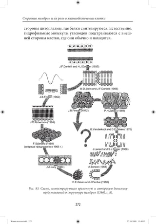 Строение мембран и их роль в жизнеобеспечении клетки

             стороны цитоплазмы, где белки синтезируются. Естественно,
             гидрофильные молекулы углеводов подстраиваются с внеш-
             ней стороны клетки, где они обычно и находятся.




                  Рис. 83. Схема, иллюстрирующая временную и авторскую динамику
                            представлений о структуре мембран ([386], с. 8).


                                              272


Живая клетка.indb 272                                                         27.10.2009 11:40:15
 
