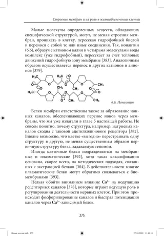 Строение мембран и их роль в жизнеобеспечении клетки

                 Малые молекулы определенных веществ, обладающих
             специфической структурой, могут, не меняя строения мем-
             бран, проникать в клетку, пересекая гидрофобный бислой
             и перенося с собой те или иные соединения. Так, нонактин
             (6.6), образуя с катионом калия и четырьмя молекулами воды
             комплекс (уже гидрофобный), пересекает за счет тепловых
             движений гидрофобную зону мембраны [383]. Аналогичным
             образом осуществляется перенос и других катионов и анио-
             нов [379].




                                                             6.6. Нонактин

                Белки мембран ответственны также за образование ион-
             ных каналов, обеспечивающих перенос ионов через мем-
             браны, что мы уже излагали в главе 5 настоящей работы. Не
             совсем понятно, почему структура, например, натриевых ка-
             налов сходна с таковой ацетилхолинового рецептора [382].
             Вполне возможно, что клетке «выгодно» перестраивать одну
             структуру в другую, не меняя существенным образом пер-
             вичную структуру белка, задаваемую геномом.
                Иногда клеточные белки подразделяются на мембран-
             ные и плазматические [392], хотя такая классификация
             основана, скорее всего, на методических подходах, связан-
             ных с экстракцией белков [384]. В действительности многие
             плазматические белки могут обратимо связываться с био-
             мембранами [393].
                Нельзя обойти вниманием влияние Са2+ на модуляцию
             рецепторных каналов [378], которые играют ведущую роль в
             регулировании деятельности нервных клеток. При этом про-
             исходит фосфорилирование каналов и быстрая потенциация
             каналов через Са2+-зависимый белок.


                                          275


Живая клетка.indb 275                                                      27.10.2009 11:40:16
 