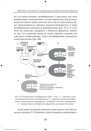 Ферменты, метаболизм и авторегуляция внутриклеточных процессов

             но и ее приостановку, ингибирование. Существует два типа
             ингибиторов: конкурентные и аллостерические. Когда некое
             вещество может занять хотя бы часть места, куда должен бу-
             дет присоединиться субстрат, реакция блокируется, и такое
             ингибирование называется конкурентным (рис. 87 (1, 2 и 3)).
             Если же вещество, внедряясь в молекулу фермента, меняет
             ее так, что активный центр не может принять нужную для
             субстрата конфигурацию, такое ингибирование называется
             аллостерическим (рис. 88).
                   1                                           2




                   3




               Рис. 87. Конкурентное ингибирование ([28], с. 162): 1 — простая схема,
               поясняющая механизм ингибирования; 2 — фермент сукцинатдегидро-
               геназа катализирует превращение янтарной кислоты в фумаровую;
                  3 — конкурентное ингибирование фермента малоновой кислотой.

                Аллостерия белковой молекулы нами кратко уже обсуж-
             далась в разделе 2.2. Наиболее существенным в данном фено-


                                                289


Живая клетка.indb 289                                                             27.10.2009 11:40:16
 