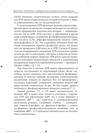 Ферменты, метаболизм и авторегуляция внутриклеточных процессов

             (АТФ). Название «энергетическая валюта» очень подходит
             для АТФ, время жизни молекулы которой составляет 1 мину-
             ту (образовавшись, она тут же распадается).
                 С использованием АТФ протекают реакции переноса фос-
             фатных групп на молекулы, которые включаются в метаболи-
             ческие превращения, конечная цель которых — генерирова-
             ние все той же АТФ. АТФ участвует в образовании и других
             энергосберегающих соединений: фосфофенолпировиноград-
             ной кислоты (2.78), дифосфоглицериновой кислоты (2.80),
             креатинфосфата (2.79). Эти соединения обладают более вы-
             соким потенциалом переноса фосфатных групп, что позво-
             ляет им превращать АДФ опять же в АТФ. Согласно Страеру,
             «клетки поддерживают содержание АТФ на высоком уровне,
             используя свет и окисляемые субстраты в качестве источни-
             ков свободной энергии. Гидролиз АТФ резко сдвигает равно-
             весное отношение концентрации продуктов к концентрации
             реагирующих веществ в сопряженной реакции — примерно в
             108 раз» ([408], т. 2, с. 13).
                 Как известно, в клетках АТФ может образовываться из
             веществ, поступающих из окружающей среды, двумя спо-
             собами: путем гликолиза, или окислительного фосфорили-
             рования. В качестве примера рассмотрим гликолитическое
             расщепление глюкозы до пирувата. Все эти превращения с
             указанием изменений стандартной свободной энергии ΔG0
             представлены схематически на рис. 89. Как видим, процесс
             начинается с фосфорилирования молекулы глюкозы (7. 1).
                 Первая реакция (7.1 → 7.2) имеет положительное из-
             менение ΔG0 и может идти только в сочетании с гидроли-
             зом АТФ при образовании АДФ, что в сумме приводит к
             изменению ΔG0 = –16,7 кДж/моль и самопроизвольному
             протеканию реакции. Следующая ступень — изомериза-
             ция глюкозо-6-фосфата во фруктозо-6-фосфат с участи-
             ем фермента фосфоглюкозоизомеразы возможна, хотя ее
             изменение (ΔG0 = +1,7 кДж/моль) положительно, но эта вели-
             чина незначительна.


                                          296


Живая клетка.indb 296                                                       27.10.2009 11:40:16
 