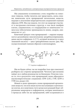 Ферменты, метаболизм и авторегуляция внутриклеточных процессов

                Мы умышленно остановились столь подробно на глико-
             лизе глюкозы, чтобы читатель мог представить, сколь слож-
             ны химические пути превращений питательных веществ,
             ведущие к получению макроэргических соединений главным
             образом АТФ. Мы уже видели, что этот же макроэрг участву-
             ет в построении клеточных структур, в том числе мембран
             клетки, следовательно, и в поддержании ее химического го-
             меостаза (обеспечение проницаемости ионов, сахаров, ами-
             нокислот и т. д.).
                Конечный продукт этих превращений — пируват подвер-
             гается дальнейшему окислительному декарбоксилированию,
             давая ацетил-кофермент А (7.7), который включается в цикл
             лимонной кислоты — цикл трикарбоновых кислот, (рис. 90),
             осуществляемый главным образом в митохондриях.




                                   7.7. Ацетил-кофермент А

                Мы не будем сейчас так же подробно (как при гликолизе)
             разбирать все стороны превращений. Читатель при желании
             найдет их в любом руководстве по биохимии. Отметим толь-
             ко то, что в результате этих превращений также образуются
             высокоэнергетические соединения АТФ (2.81), ГТФ, ЦТФ и
             УТФ (см. раздел 2.6).
                Можно и далее приводить схемы превращений органиче-
             ских веществ, тем или иным путем поступающих в цитоплаз-
             му клетки, но в конечном счете целью всех реакций будет об-
             разование макроэргов и коферментов, которые вовлекаются
             в процессы либо тех же превращений, либо встраиваются в


                                             299


Живая клетка.indb 299                                                       27.10.2009 11:40:17
 