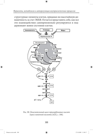 Ферменты, метаболизм и авторегуляция внутриклеточных процессов

             структурные элементы клетки, придавая им высочайшую ди-
             намичность за счет ЭККВ. Остается представить себе, как все
             эти взаимодействия самопроизвольно регулируются и под-
             держивают живое состояние клетки.




                        Рис. 90. Окислительный цикл трикарбоновых кислот
                                (цикл лимонной кислоты [423], с. 106).


                                              300


Живая клетка.indb 300                                                       27.10.2009 11:40:17
 