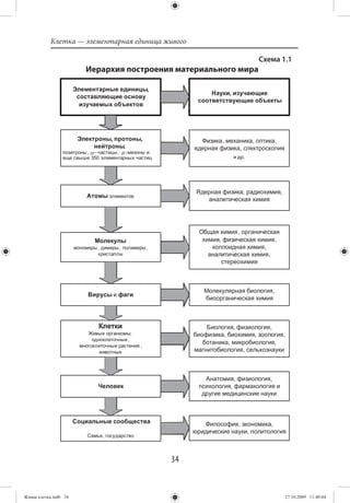 Клетка — элементарная единица живого

                                                                Схема 1.1
                       Иерархия построения материального мира




                                                       и др.




                                           34


Живая клетка.indb 34                                                   27.10.2009 11:40:04
 