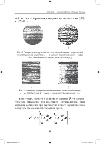 Клетка — элементарная единица живого

             ной системы из неравновесного в равновесное состояние ([16],
             с. 107–111).




                                  1                                2
                Рис. 8. Поперечная исчерченность растянутой мышцы, отравленной
                монойодуксусной кислотой: 1 — в момент растягивания; 2 — через
                           1 час 40 минут после начала растягивания [15].




                              1                                    2
                   Рис. 9. Изменение поперечной исчерченности нормальной мышцы:
                    1 — до раздражения; 2 — после 15-минутного раздражения [15].

                Если теперь перейти к свободной энергии F, то матема-
             тическое выражение для изменения (интегрального) этой
             функции состояния при переходе из живого неравновесного
             в мертвое (равновесное) состояние будет:


                                                                    ,




                                                37


Живая клетка.indb 37                                                               27.10.2009 11:40:05
 