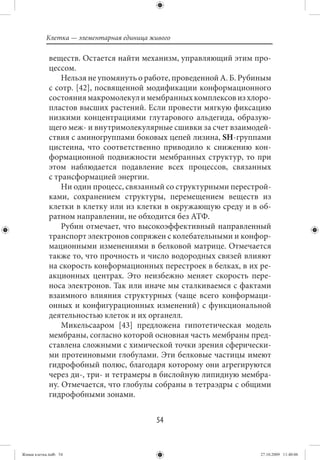Клетка — элементарная единица живого

             веществ. Остается найти механизм, управляющий этим про-
             цессом.
                 Нельзя не упомянуть о работе, проведенной А. Б. Рубиным
             с сотр. [42], посвященной модификации конформационного
             состояния макромолекул и мембранных комплексов из хлоро-
             пластов высших растений. Если провести мягкую фиксацию
             низкими концентрациями глутарового альдегида, образую-
             щего меж- и внутримолекулярные сшивки за счет взаимодей-
             ствия с аминогруппами боковых цепей лизина, SH-группами
             цистеина, что соответственно приводило к снижению кон-
             формационной подвижности мембранных структур, то при
             этом наблюдается подавление всех процессов, связанных
             с трансформацией энергии.
                 Ни один процесс, связанный со структурными перестрой-
             ками, сохранением структуры, перемещением веществ из
             клетки в клетку или из клетки в окружающую среду и в об-
             ратном направлении, не обходится без АТФ.
                 Рубин отмечает, что высокоэффективный направленный
             транспорт электронов сопряжен с колебательными и конфор-
             мационными изменениями в белковой матрице. Отмечается
             также то, что прочность и число водородных связей влияют
             на скорость конформационных перестроек в белках, в их ре-
             акционных центрах. Это неизбежно меняет скорость пере-
             носа электронов. Так или иначе мы сталкиваемся с фактами
             взаимного влияния структурных (чаще всего конформаци-
             онных и конфигурационных изменений) с функциональной
             деятельностью клеток и их органелл.
                 Микельсааром [43] предложена гипотетическая модель
             мембраны, согласно которой основная часть мембраны пред-
             ставлена сложными с химической точки зрения сферически-
             ми протеиновыми глобулами. Эти белковые частицы имеют
             гидрофобный полюс, благодаря которому они агрегируются
             через ди-, три- и тетрамеры в бислойную липидную мембра-
             ну. Отмечается, что глобулы собраны в тетраэдры с общими
             гидрофобными зонами.


                                           54


Живая клетка.indb 54                                                 27.10.2009 11:40:06
 