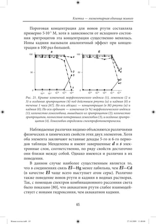 Клетка — элементарная единица живого

                Пороговая концентрация для ионов ртути составляла
             примерно 5·10-5 М, хотя в зависимости от исходного состоя-
             ния эритроцитов эта концентрация существенно менялась.
             Ионы кадмия вызывали аналогичный эффект при концен-
             трации в 100 раз большей.




               Рис. 21. Кривые изменений морфологического индекса (1), гемолиза (2 и
               3) и оседания эритроцитов (4) под действием ртути (а) и кадмия (б) в
               течение 1 часа [67]. По оси абсцисс — концентрация (в М) ртути (а) и
               кадмия (б); По оси ординат — изменения (в %) морфологического индекса
               (1); количество гемоглобина, вышедшего из эритроцитов (2); количество
               эритроцитов, полностью потерявших гемоглобин (3), и оседание эритро-
                      цитов (4). Гемоглобин определяли спектрофотометрически.

                Наблюдаемые различия видимо объясняются различиями
             физических и химических свойств этих двух элементов. Хотя
             оба элемента заключают вставные декады 5-го и 6-го перио-
             дов таблицы Менделеева и имеют завершенные d и s элек-
             тронные слои, соответственно, по ряду свойств достаточно
             они близки между собой. Однако имеются и различия в их
             поведении.
                В данном случае наиболее существенным является то,
             что в соединениях связь Εl—Нg менее лабильна, чем Εl—Сd
             (в качестве El чаще всего выступает атом серы). Различно
             также поведение ионов ртути и кадмия в водных растворах.
             Так, с помощью спектров комбинационного рассеяния света
             было показано [80], что аквакатион ртути слабее взаимодей-
             ствует с ионами гидроксония, чем аквакатион кадмия.


                                                65


Живая клетка.indb 65                                                             27.10.2009 11:40:06
 