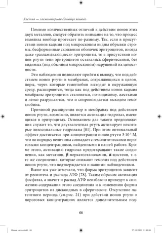 Клетка — элементарная единица живого

                Помимо количественных отличий в действии ионов этих
             двух металлов, следует обратить внимание на то, что процесс
             гемолиза вообще протекает по-разному. Так, если в присут-
             ствии ионов кадмия под микроскопом видны обрывки стро-
             мы, бесформенные скопления оболочек эритроцитов, иногда
             даже «разламывающиеся» эритроциты, то в присутствии ио-
             нов ртути тени эритроцитов оставались сферическими, без
             видимых (под обычном микроскопом) нарушений их целост-
             ности.
                Эти наблюдения позволяют прийти к выводу, что под дей-
             ствием ионов ртути в мембранах, сохраняющихся в целом,
             поры, через которые гемоглобин выходит в окружающую
             среду, расширяются, тогда как под действием ионов кадмия
             мембраны эритроцитов становятся, по-видимому, жесткими
             и легко разрушаются, что и сопровождается выходом гемо-
             глобина.
                Причиной расширения пор в мембранах под действием
             ионов ртути, возможно, является активация гидролаз, имею-
             щихся в эритроцитах. Основанием для такого предположе-
             ния служит то, что двухвалентная ртуть активирует некото-
             рые лизосомальные гидролазы [81]. При этом оптимальный
             эффект достигается при концентрации ионов ртути 3·10-5 М,
             что по порядку величины совпадает с гемолитическими поро-
             говыми концентрациями, найденными в нашей работе. Кро-
             ме этого, активацию гидролаз предотвращают такие соеди-
             нения, как метатион, β-меркатоэтаноламин, α-цистеин, т. е.
             те же соединения, которые снижают гемолиз под действием
             ионов ртути, что подтверждается и нашими наблюдениями.
                Выше мы уже отмечали, что форма эритроцитов зависит
             от ресинтеза и распада АТФ [78]. Таким образом активация
             фосфатаз, а значит и распад АТФ неизбежно приведут к сни-
             жению содержания этого соединения и к изменению формы
             эритроцитов из дискоидных в сферические. Отсутствие ла-
             тентного периода (см.рис. 21) при действии ионов ртути в
             пороговых концентрациях является дополнительным под-


                                           66


Живая клетка.indb 66                                                 27.10.2009 11:40:06
 