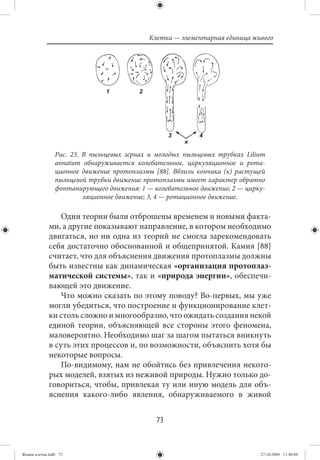 Клетка — элементарная единица живого




                Рис. 23. В пыльцевых зернах и молодых пыльцевых трубках Lilium
                annatum обнаруживается колебательное, циркуляционное и рота-
                ционное движение протоплазмы [88]. Вблизи кончика (к) растущей
                пыльцевой трубки движение протоплазмы имеет характер обратно
                фонтанирующего движения: 1 — колебательное движение; 2 — цирку-
                         ляционное движение; 3, 4 — ротационное движение.

                Одни теории были отброшены временем и новыми факта-
             ми, а другие показывают направление, в котором необходимо
             двигаться, но ни одна из теорий не смогла зарекомендовать
             себя достаточно обоснованной и общепринятой. Камия [88]
             считает, что для объяснения движения протоплазмы должны
             быть известны как динамическая «организация протоплаз-
             матической системы», так и «природа энергии», обеспечи-
             вающей это движение.
                Что можно сказать по этому поводу? Во-первых, мы уже
             могли убедиться, что построение и функционирование клет-
             ки столь сложно и многообразно, что ожидать создания некой
             единой теории, объясняющей все стороны этого феномена,
             маловероятно. Необходимо шаг за шагом пытаться вникнуть
             в суть этих процессов и, по возможности, объяснить хотя бы
             некоторые вопросы.
                По-видимому, нам не обойтись без привлечения некото-
             рых моделей, взятых из неживой природы. Нужно только до-
             говориться, чтобы, привлекая ту или иную модель для объ-
             яснения какого-либо явления, обнаруживаемого в живой


                                              73


Живая клетка.indb 73                                                         27.10.2009 11:40:06
 
